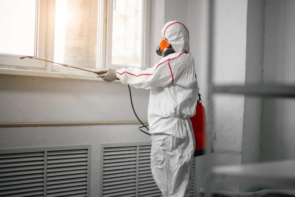 Professional mold remediation services in Boiling Springs, SC